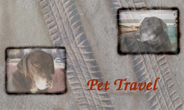 pet travel logo