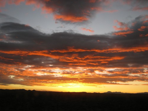 Sunset Gold - Northern Cape