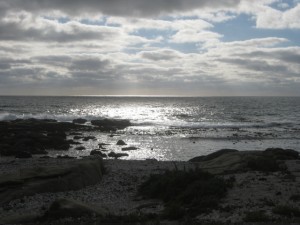 "Grey Waters" - West Coast