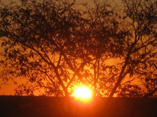 An overnight spot between Brandvlei & Kenhardt - A Bird's view...
