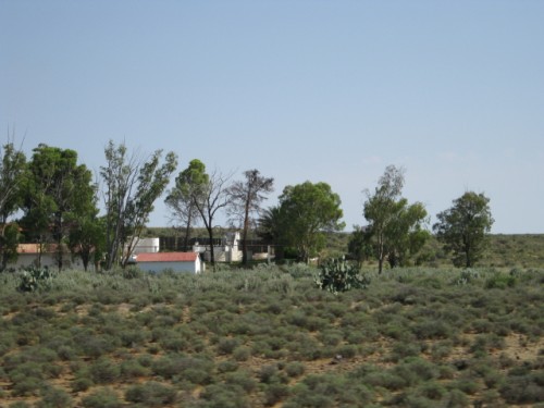 a farmstead close to Carnarvon