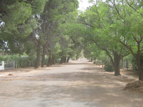 A road in Loxton