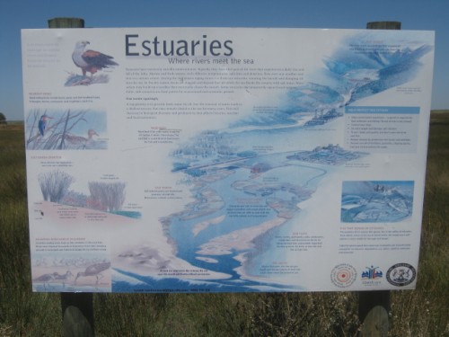 more information on Estuaries
