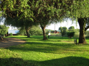 irrigation from the Orange River provides green scenery all over