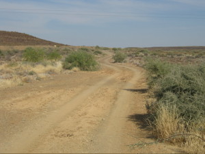 the road leading to the dam